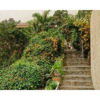Rivendell Eco lodge