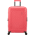 American Tourister DashPop Medium Check-in Sugar Pink