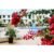 4 Star Bed and Breakfast 7 Nights  to Tenerife