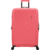 American Tourister DashPop Large Check-in Sugar Pink