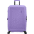 American Tourister DashPop Large Check-in Violet Purple